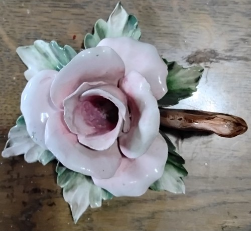 Porzellan rose aus - rose, italien